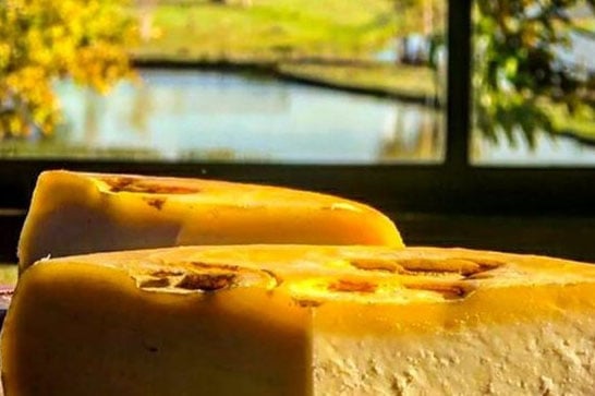 Governo lança concurso estadual de queijo artesanal