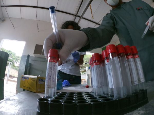 Governo de Minas anuncia desenvolvimento de soro contra covid-19