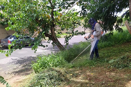Prefeitura inicia capina e limpeza em diversos pontos da cidade