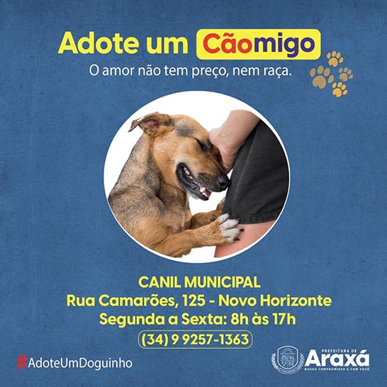 Adote um Cãomigo