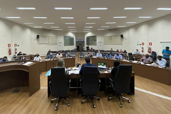 Reunião Extraordinária aprova Renda Básica e Plenário Virtual