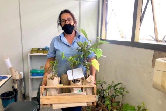 Prefeitura lança o projeto Fruta no Campo