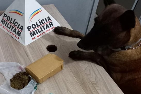 PM apreende mais de meio quilo de drogas