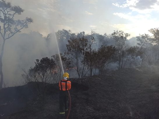 Acidente com dois óbitos na BR-262 provavelmente foi causado por incêndio às margens da rodovia